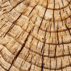 Indoor/Outdoor Faux Concrete Stump Accent Table Brown - Threshold™ Designed With Studio McGee -Threshold™ Sales Store GUEST 03deabfd 2b62 4725 94b4 09a321ea8678