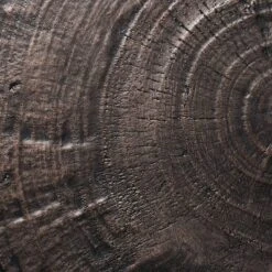 Grantsville Drum Accent Table Black - Threshold™ Designed With Studio McGee -Threshold™ Sales Store GUEST 2a48e59f 9a1e 4d95 a641 6710dbd36ebe